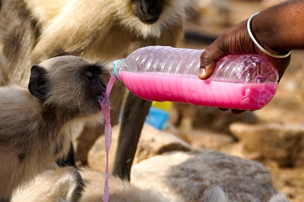 Termometreler 50 dereceyi gösterdi. Tarihin en yüksek sıcaklık rekoru - Resim: 6